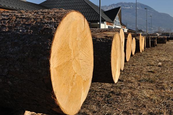 Legno pregio