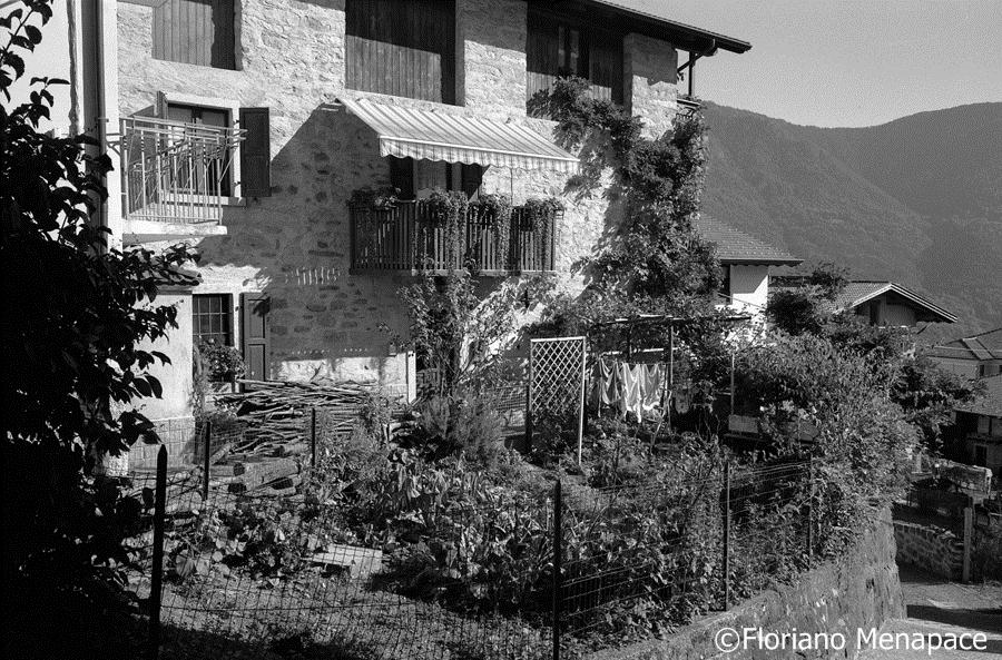94 Daone orto - Floriano Menapace b
