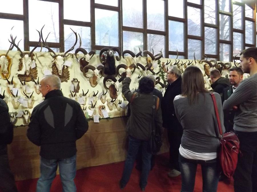 trofei di caccia in mostra