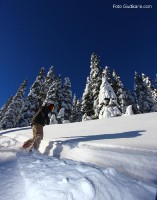 Pinzolo, Doss del Sabion, dolomiti di Brenta 4