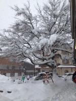Madonna di Campiglio 1 - foto Giorgia Lambertini