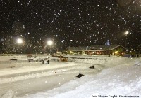 Madonna di Campiglio, 28 dicembre 2013 - foto Matteo Ciaghi b