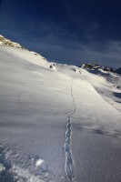 madonna di campiglio, verso il graffer022