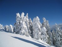 A Campantic, Giudicarie - Foto Rosa Collini