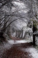 primaneve al Passo Durone - foto Giorgio Berasi