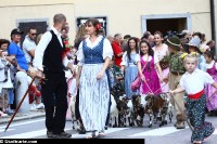 IMG_0778
