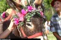 IMG_1209