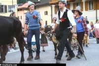IMG_1309
