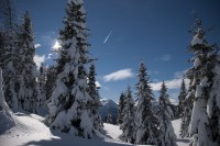 Verso Malga Fevri - Foto Giorgio Berasi