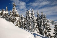 Verso malga Fevri, Madonna di Campiglio