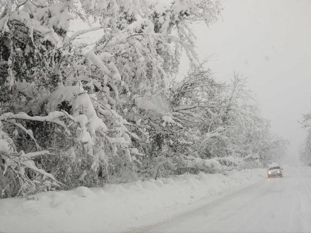 neve in romagna