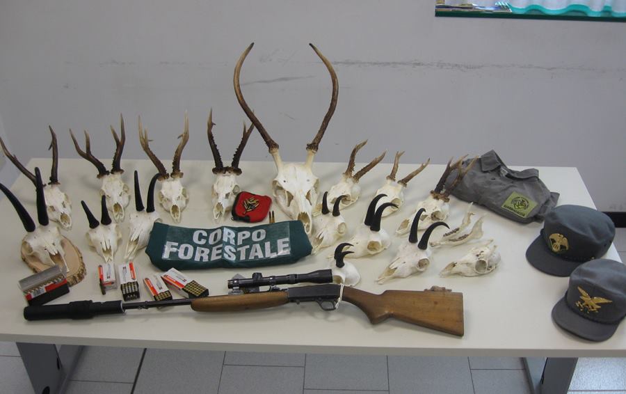 trofei azione antibracconaggio nel Lomaso corpo forestale