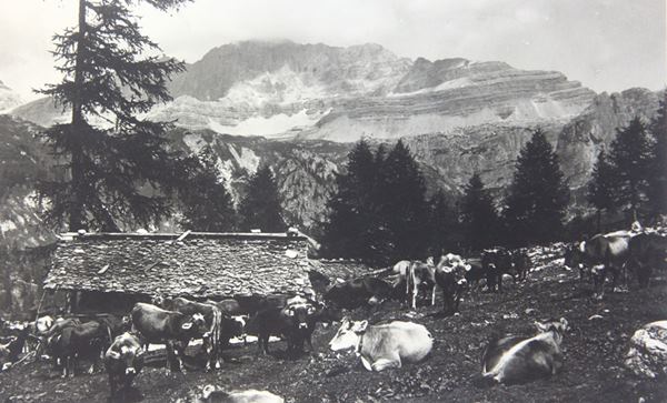 usi civici-malga -Rendena asuc