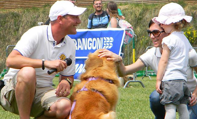 vita da cani  associazioni