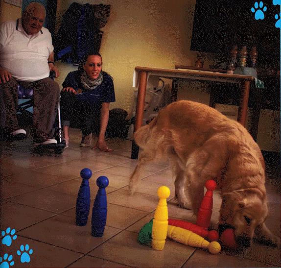 vita da cani associazioni 2006 pet