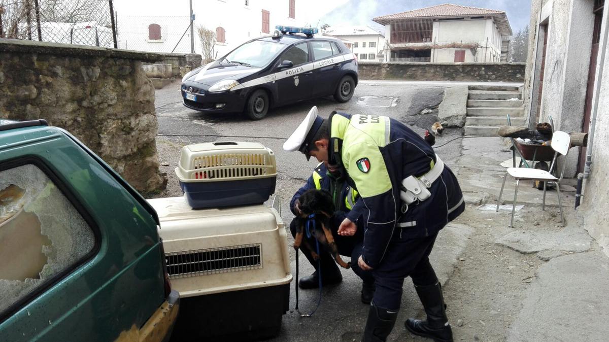 maltrattamenti cane a Ponte arche 2