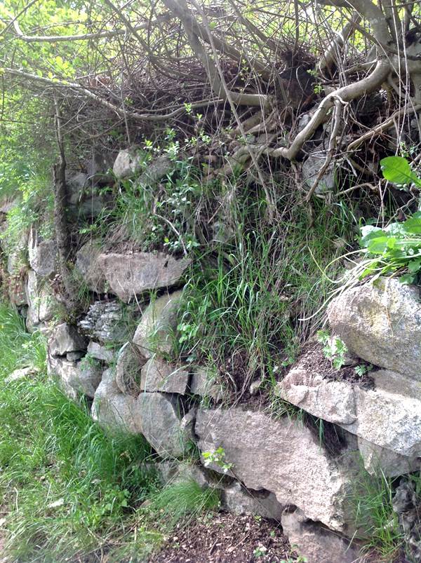 stradina Larido Durone 2 b