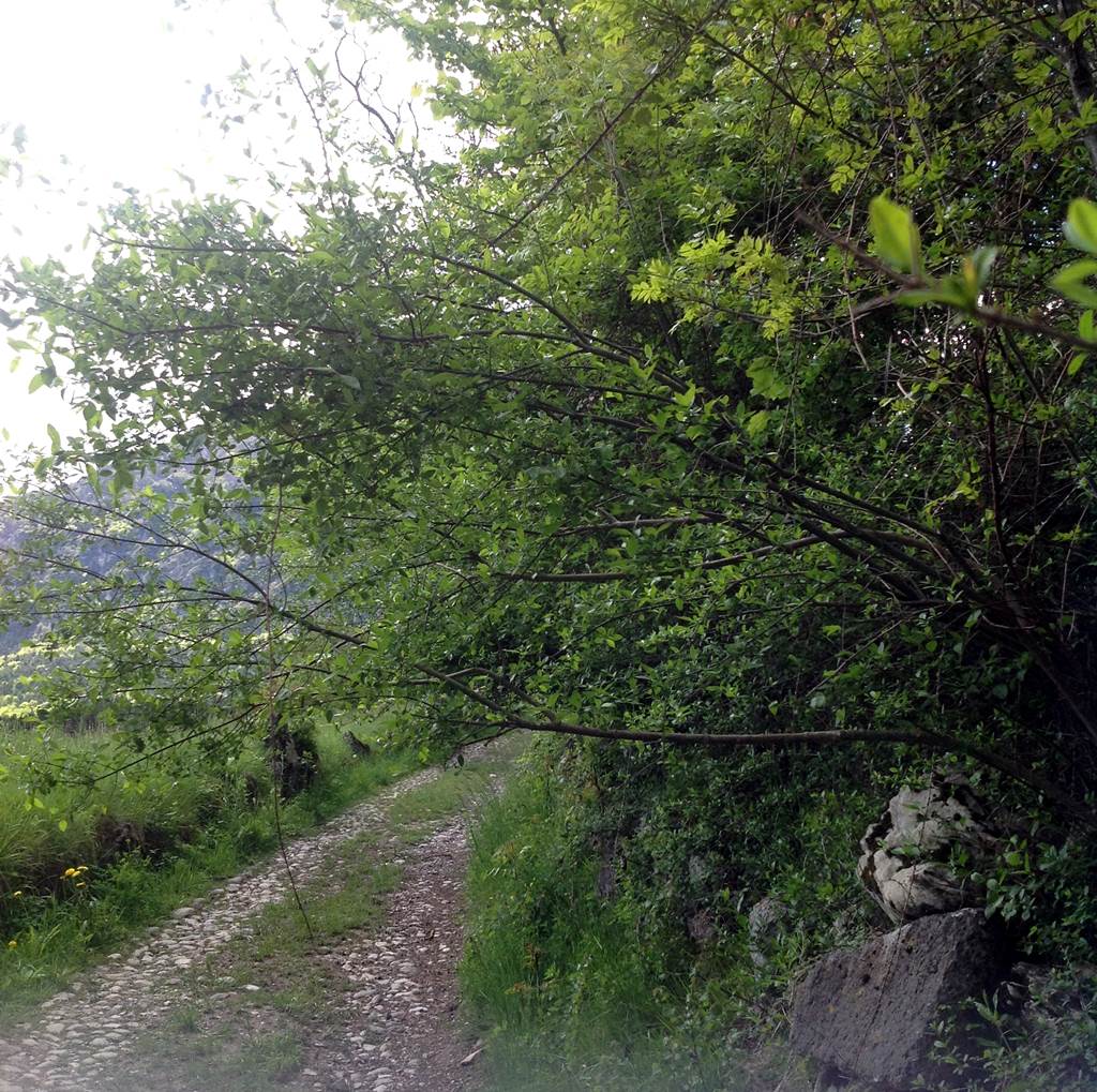 stradina Larido Durone 3