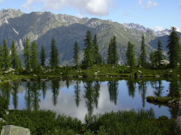 Parco Naturale Adamello Brenta - I valori del Parco - foto Archivio Pnab Parco Naturale Adamello Brenta - I valori del Parco