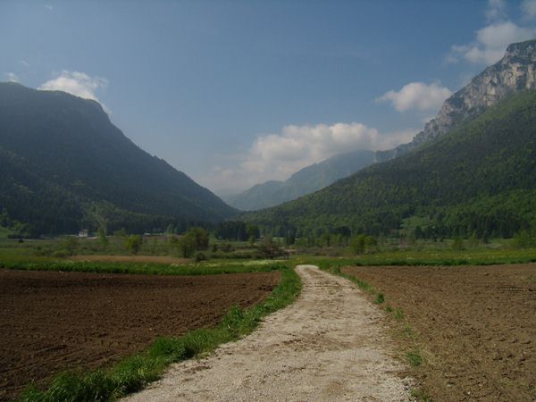Strada interpoderale che da Fiavé porta allarea protetta sullo sfondo