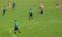 Brenta - Alta Giudicarie  (85)