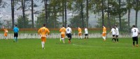 Calcio  (10)