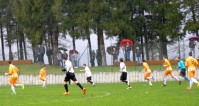 Calcio  (13)