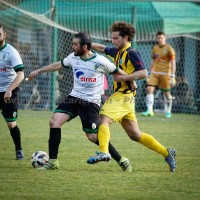 Condinese_Settaurense01