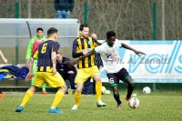 Condinese_Settaurense02