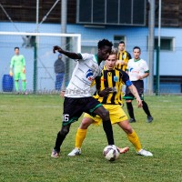 Condinese_Settaurense04
