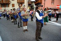 Giovenche razza rendena 096