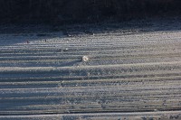 IMG_6184_r