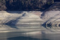 IMG_6195_r