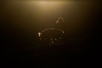 IMG_6232_r