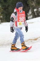 Ciaspingo_val_rendena_2012_foto_m_ciaghi_IMG_1919